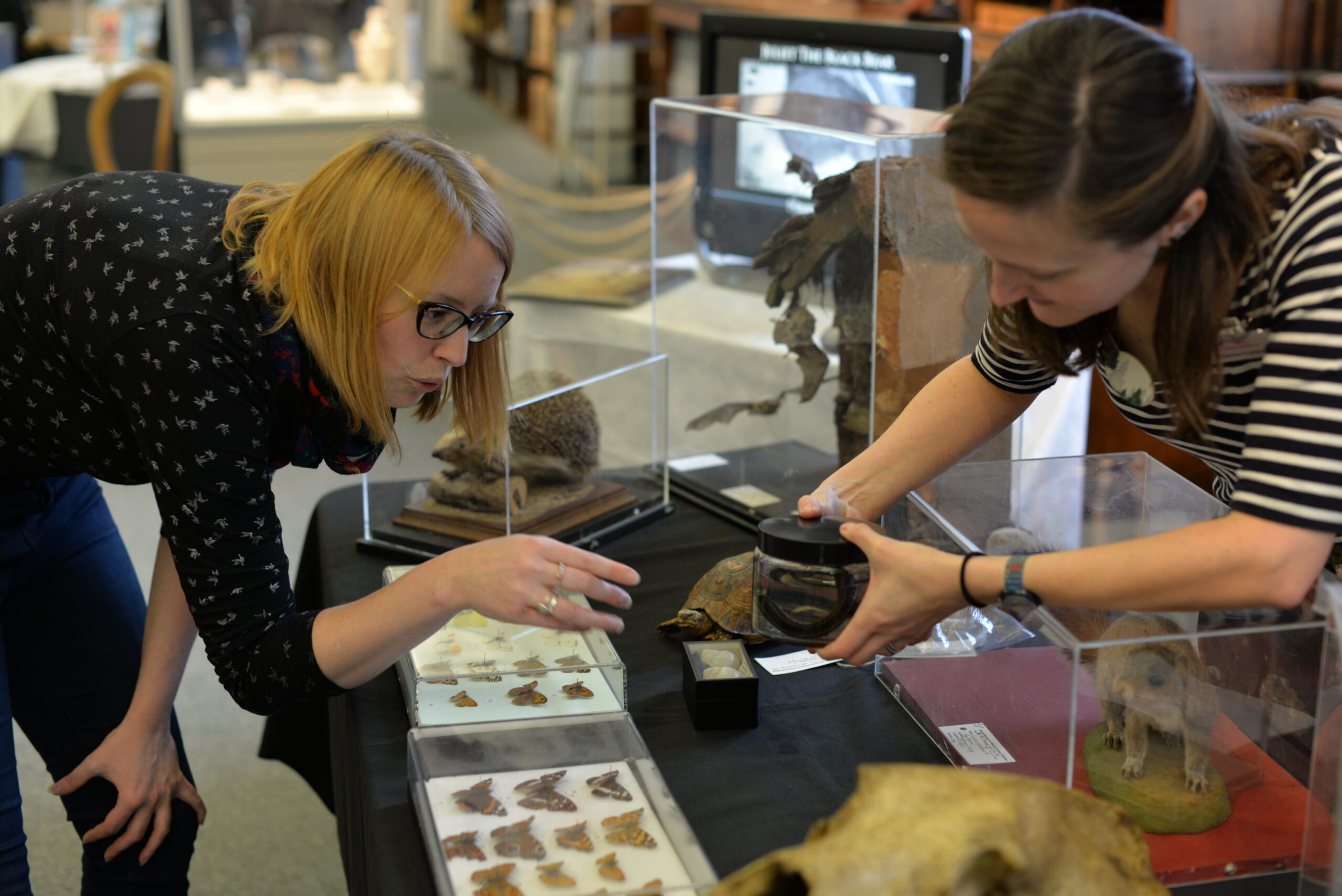 Museum Lab discovery day