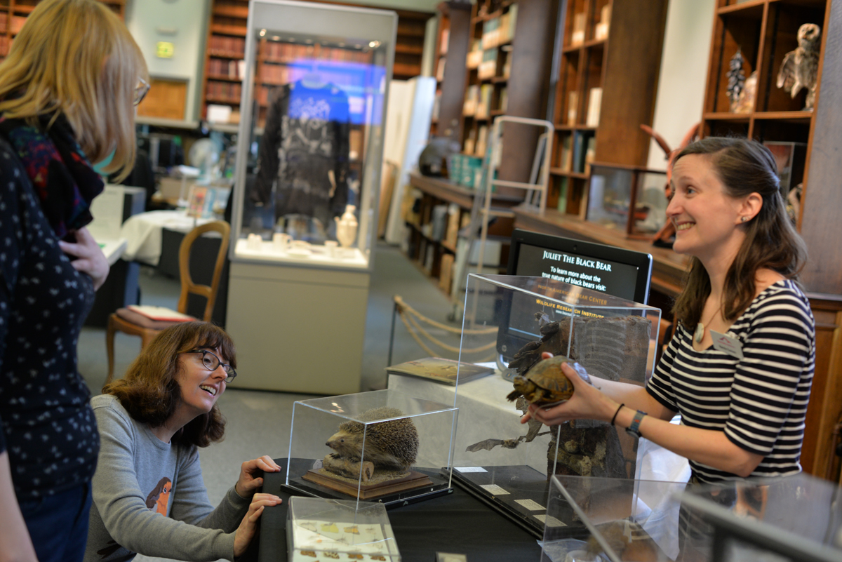 Museum Lab discovery day - Curators show off objects from the collections