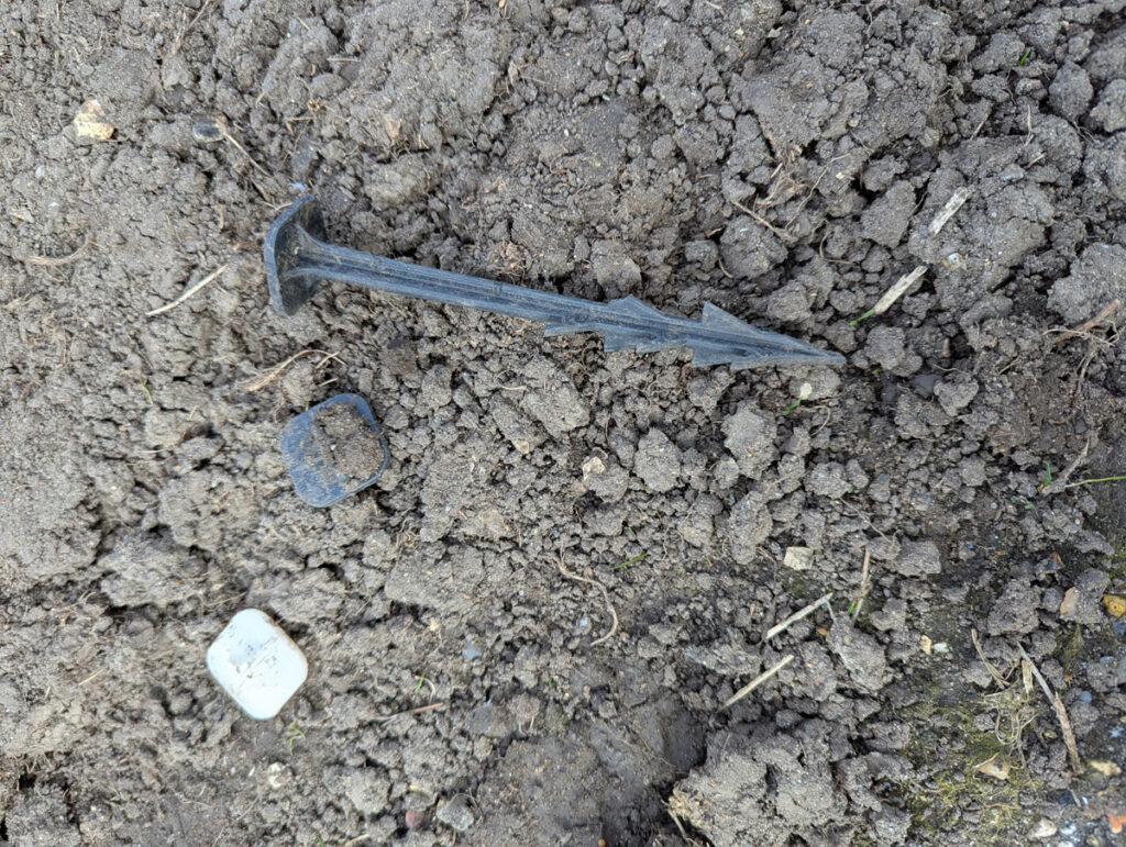 A grass peg alongside two peg tops broken by seagulls
