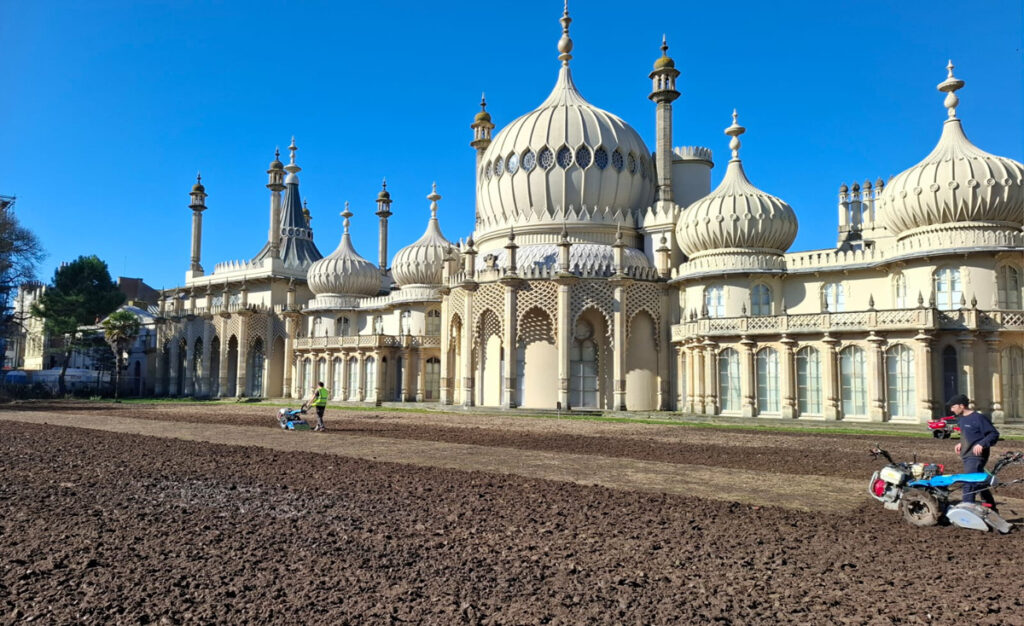 The rotavator in use on the East Lawn of the Royal Pavilion Garden to loosen the compacted soil