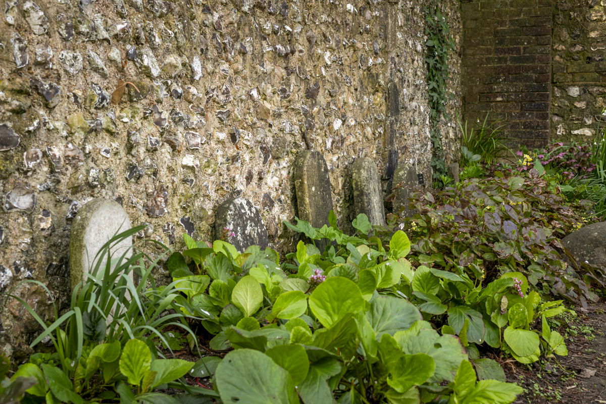 Preston Manor Gardens April 2025