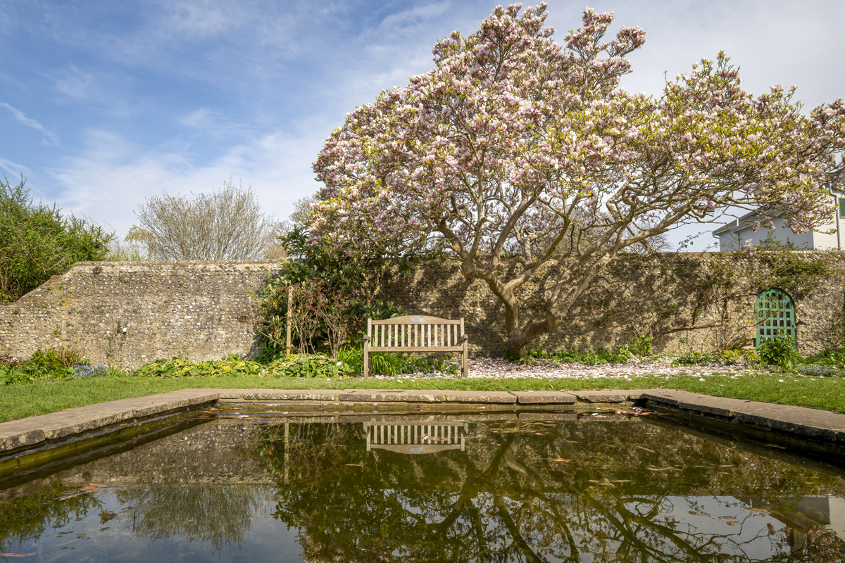 Preston Manor Gardens April 2025