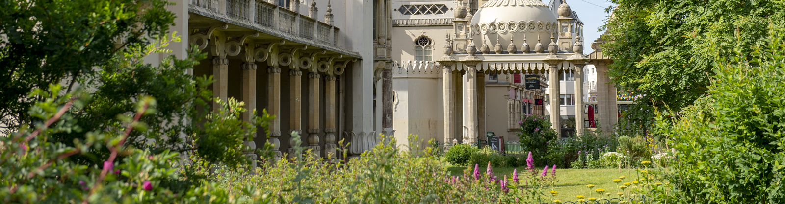 Kings Lawn the Royal Pavilion Garden