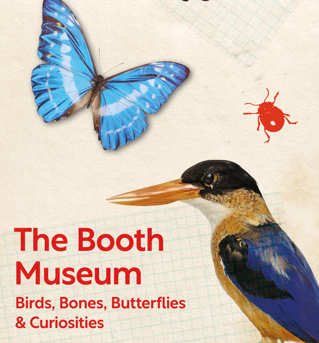 Booth web banner