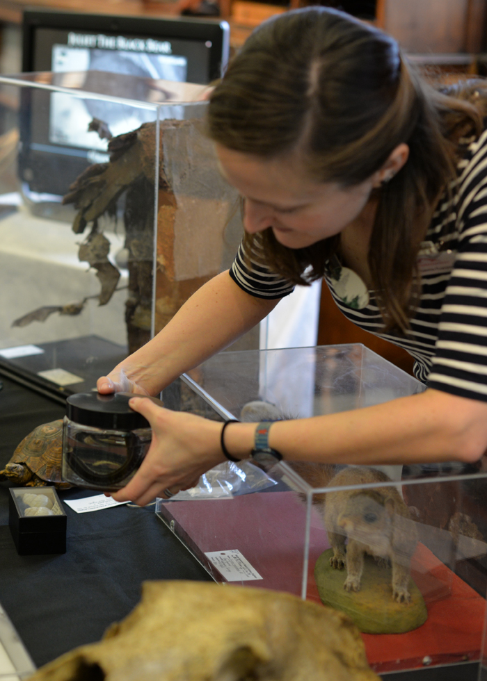 Curator at Work: Secrets & Stories in the Collections