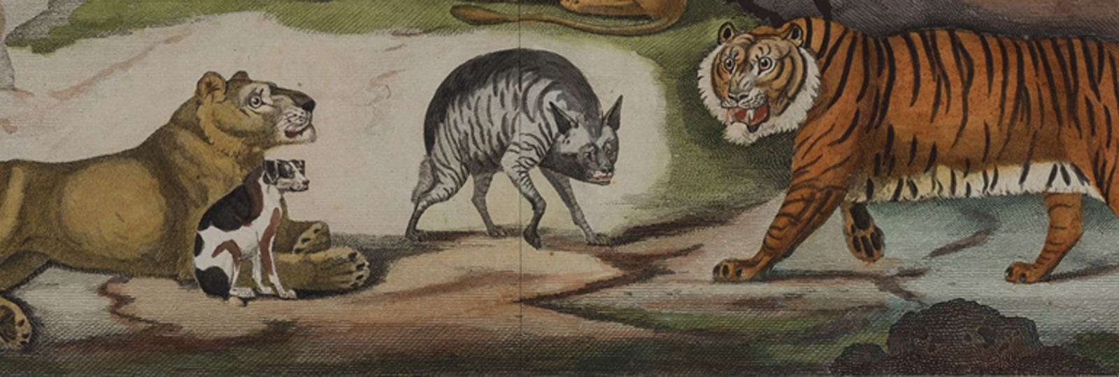 Tower of London Menagerie, 1790