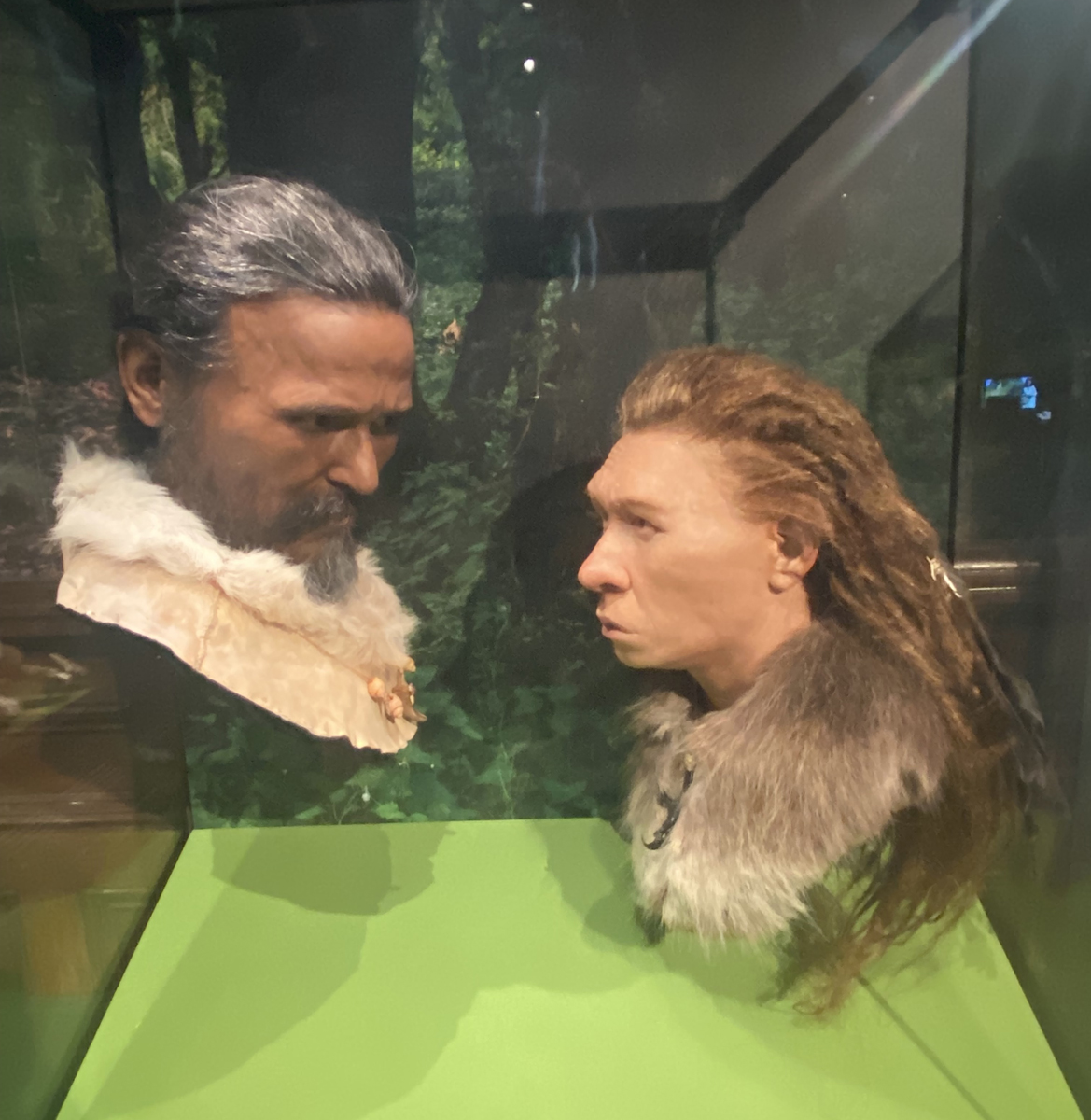 Facial reconstructions from the Elaine Evans Archaeology Gallery