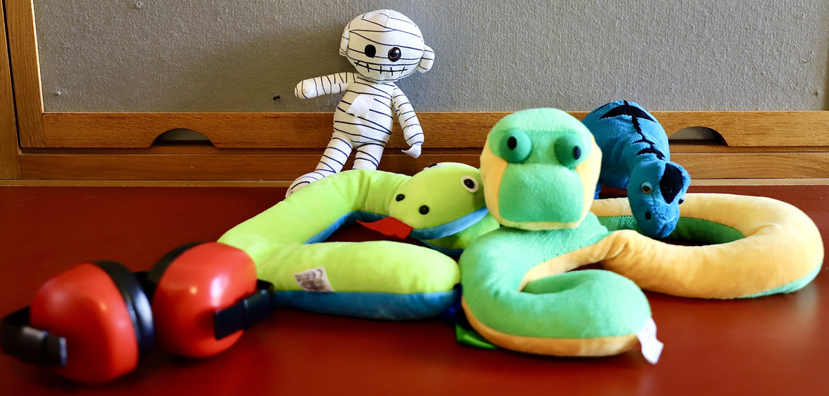 Sensory toys for school sessions