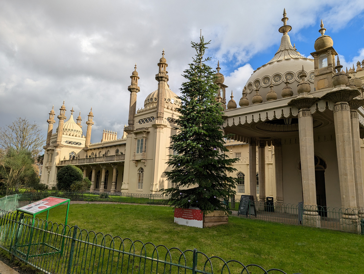 The exterior Royal Pavilion Christmas tree 2025. The tree stands outside the main entrance and is decorated with lights.