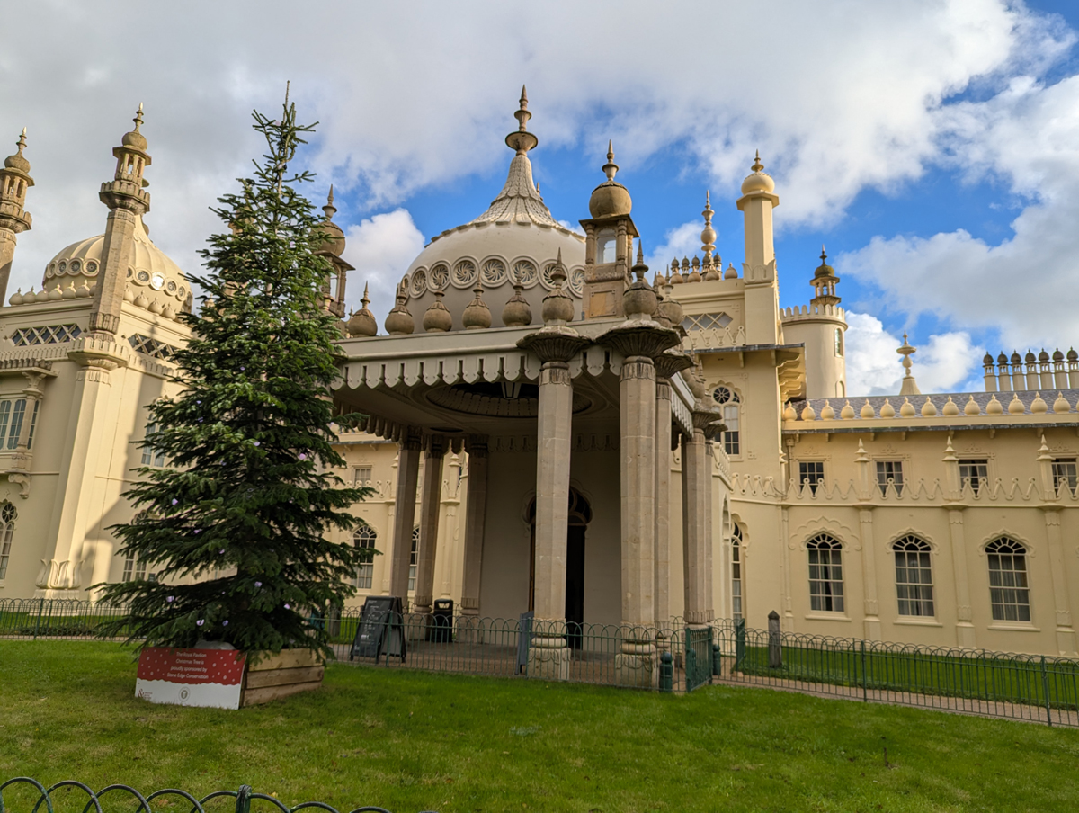 The exterior Royal Pavilion Christmas tree 2025. The tree stands outside the main entrance and is decorated with lights.