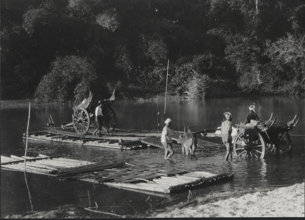 Burma image, WA1528. Rafting bullock carts. It was taken by James Henry Green. 1920s