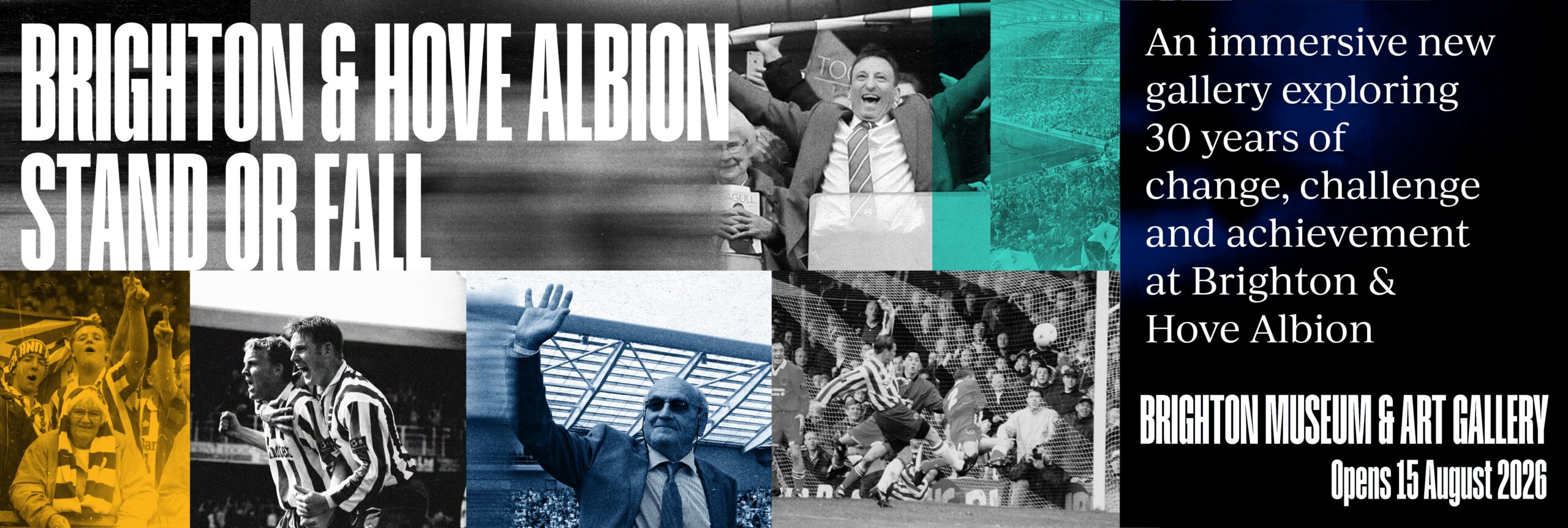 Brighton & Hove Albion Stand or Fall