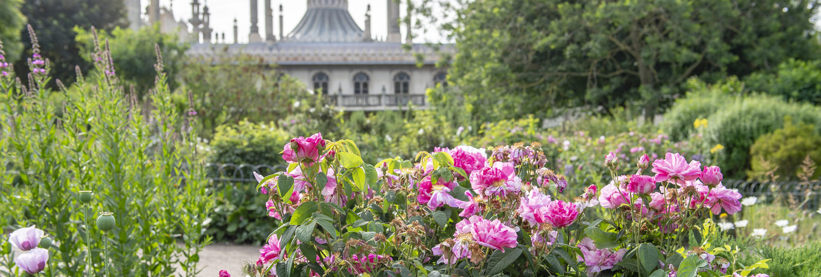 Royal Pavilion in bloom