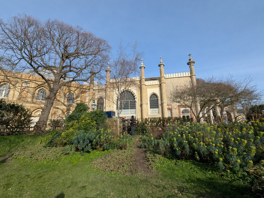 Yew hedge cutting in the Garden. February 2026. Yew hedge cutting in the Garden. February 2026. The side of Brighton Museum can be seen over the freshly cut Yew hedge. The grass can be seen in the foreground.