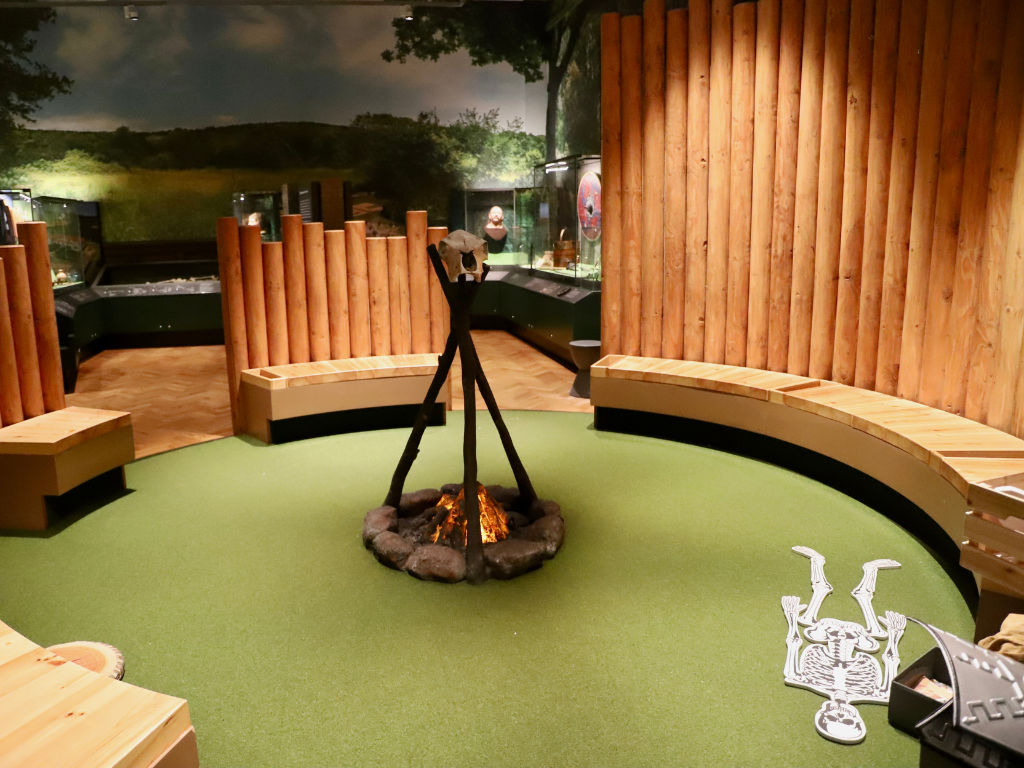 Festival of Archaeology at Brighton Museum - Elaine Evans Archaeology Gallery