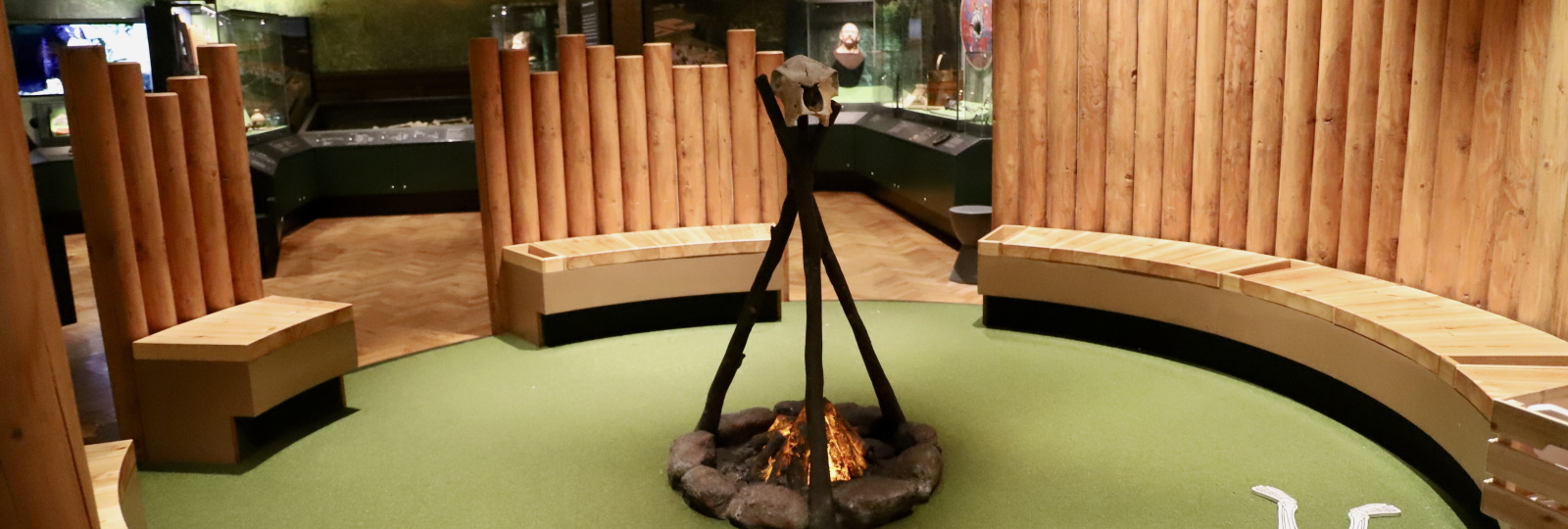 photograph of the archaeology gallery in brighton museum