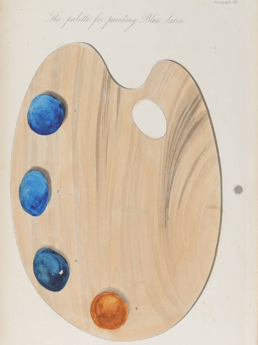 The Palette for painting Blue Satin, from a 1839 painting manual. Courtesy of Alexandra Loske