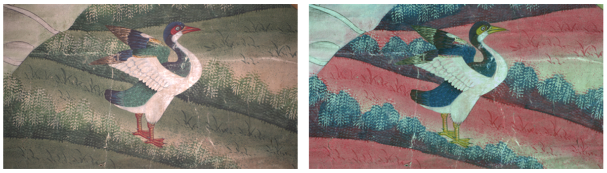 Fig. 6. Left: visible light image of a painted crane in item R6007. Right: IR reflected false colour (IRRFC) image, where the transformation of green/blue passages into red tones is characteristic of indigo, highlighting the presence of this pigment in the landscape.