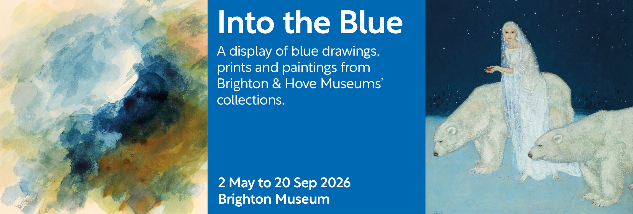 Into the Blue web banner