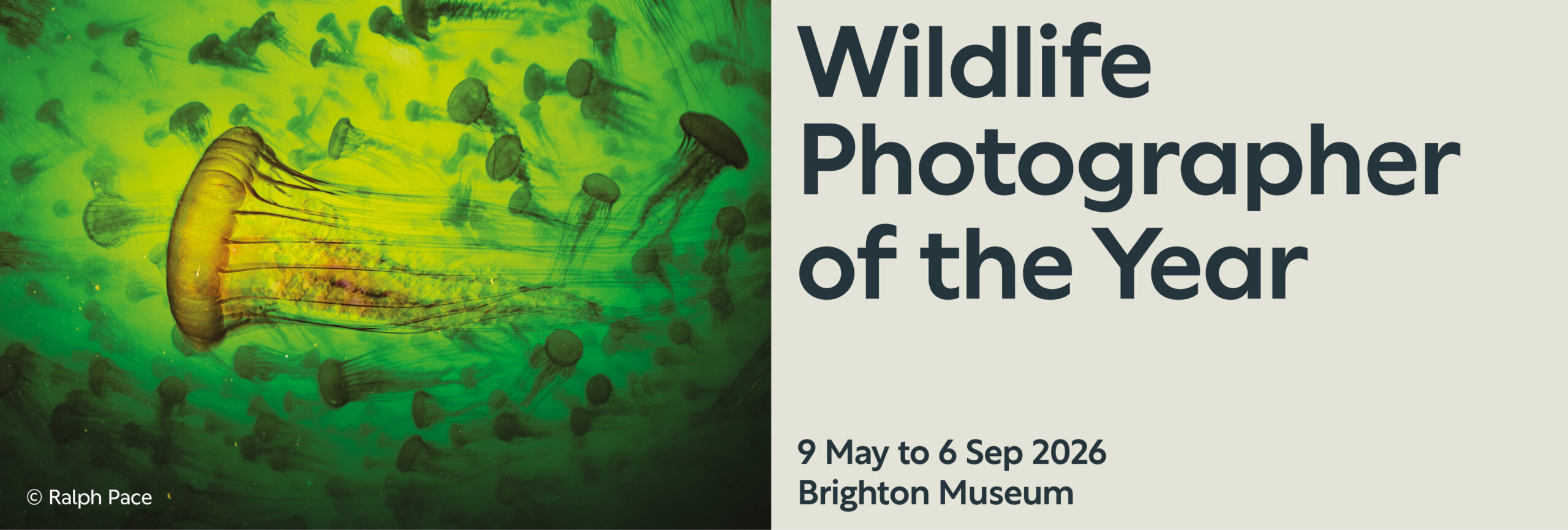 Wildlife Photographer of the Year web banner