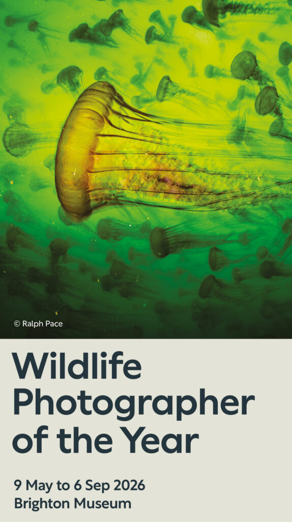 Wildlife Photographer of the Year web banner