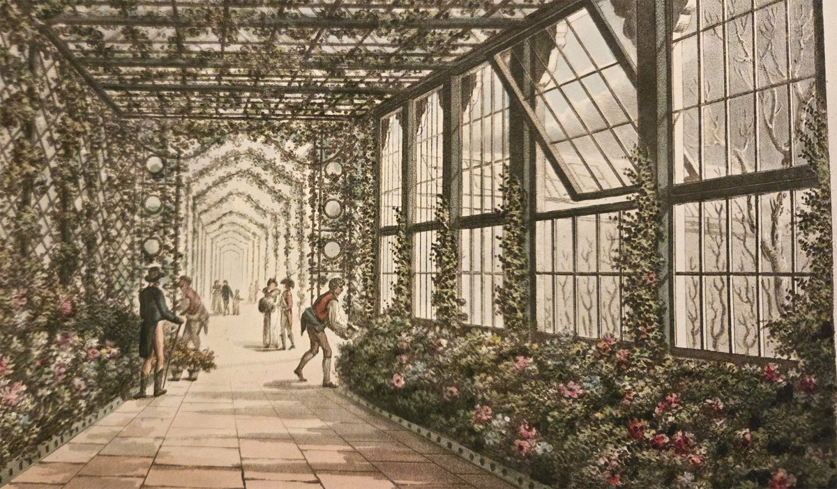 Extract from Humphrey Reptons Red Books - Proposed Conservatory. A colour drawing of a glass panelled walkway. Flower beds are below the side glass panels, the flowers grow up between the frames of glass and along the ceiling. The area is paved and gardeners attend the flowerbeds whilst people walk by