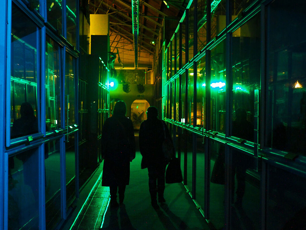 The interior of the Booth Museum