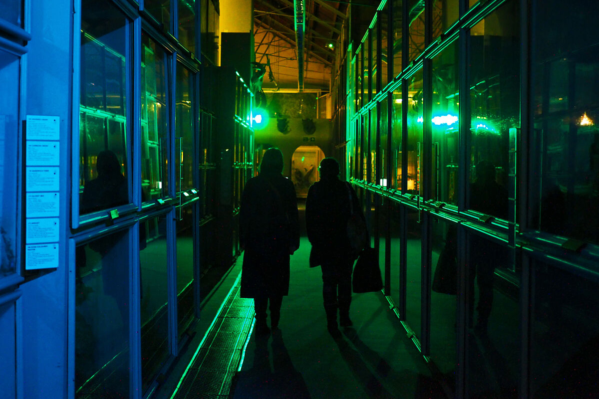 The interior of the Booth Museum