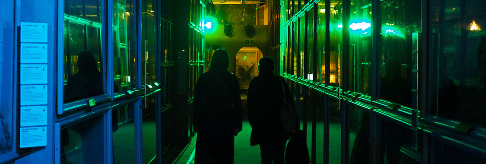 The interior of the Booth Museum