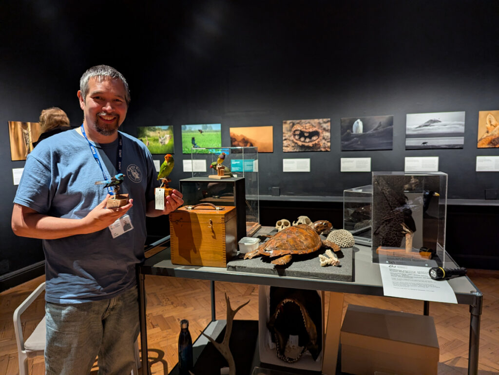 Curator at Work - Lee Ismail. Lee stands in the Temporary Exhibition Gallery which showcases the Wildlife Photographer of the Year competition. He stands by a display of objects from the Natural Sciences collection and holds two small taxidermy birds mounted on wooden blocks.