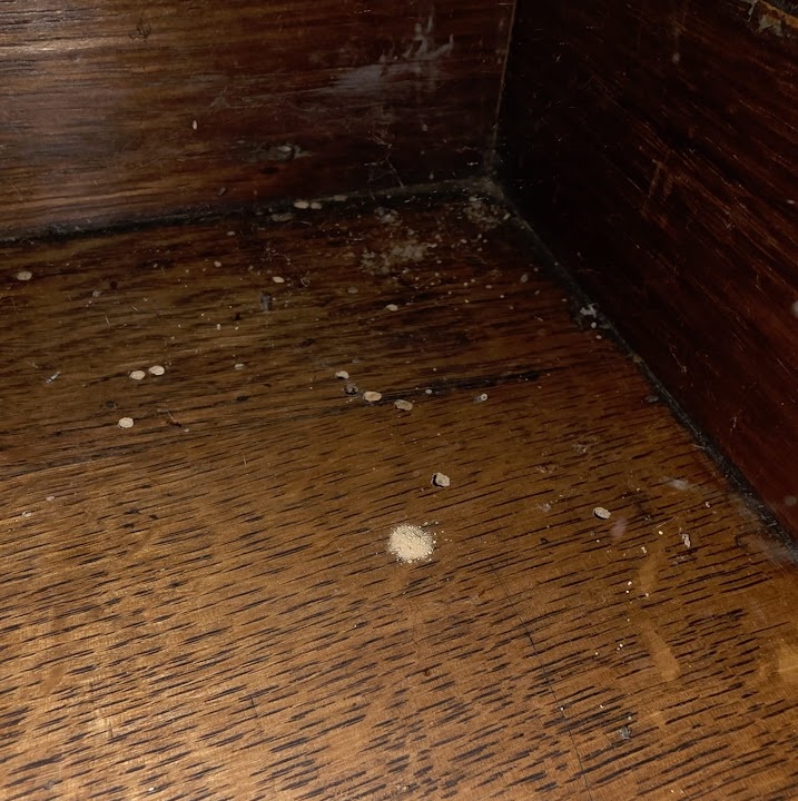 Frass left by a Deathwatch Beetle at Preston Manor. A wooden surface has small mounds of powder like deposits.