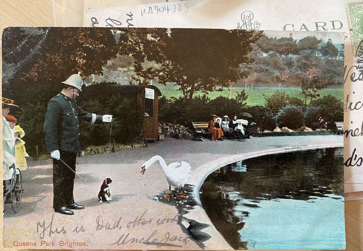 Postcard. Colourised image of policeman with a puppy and agitated swan by the pond in Queen's Park, Brighton. Brighton postmark dated 30 August.