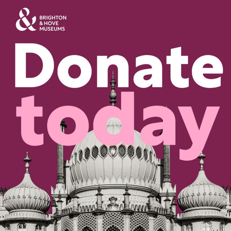 Donation today banner. A photo of the Royal Pavilion domes against a dark pink background with the words Donate today in white and light pink