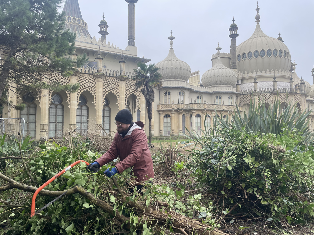 The Garden Team at work in the Royal Pavilion Garden. A man in raincoat and hat is sawing a tree branch in a pile of greenery on the ground. The Royal Pavilion is in the background.